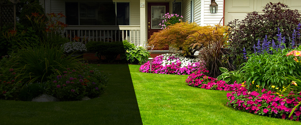 Fremont Landscapers