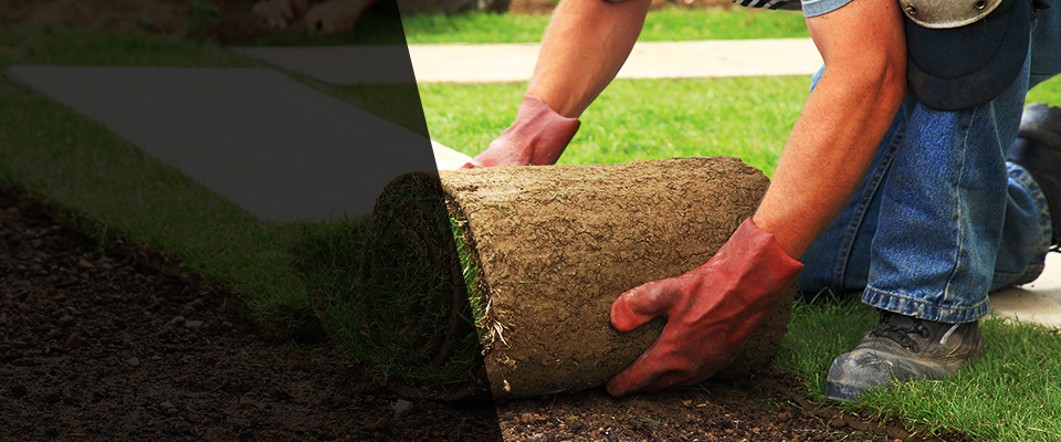 Fremont Landscapers